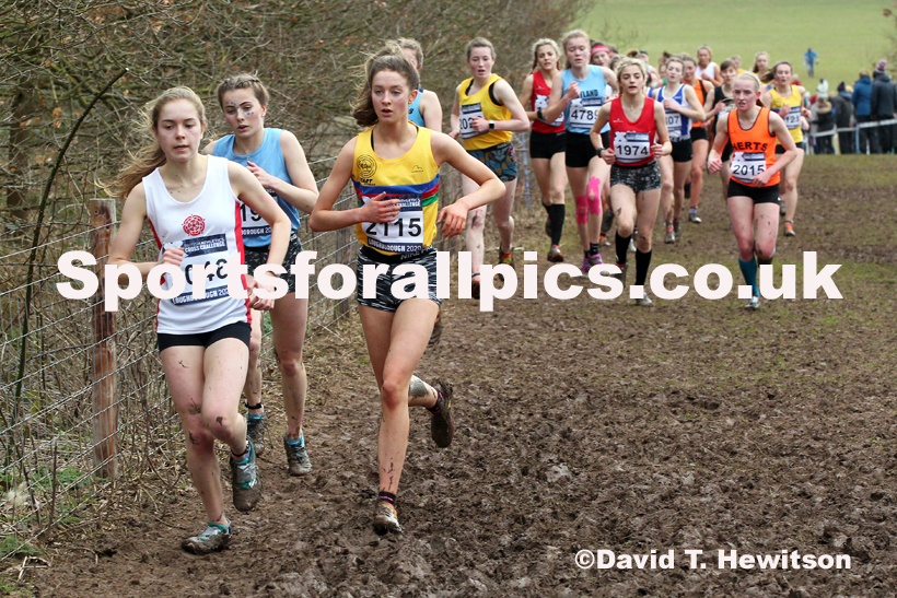 Womens under-17s, 2020 British Athletics Inter Counties Cross Country Champs., Prestwold Hall, Loughborough. Photo: David T. Hewitson/Sports for All Pics